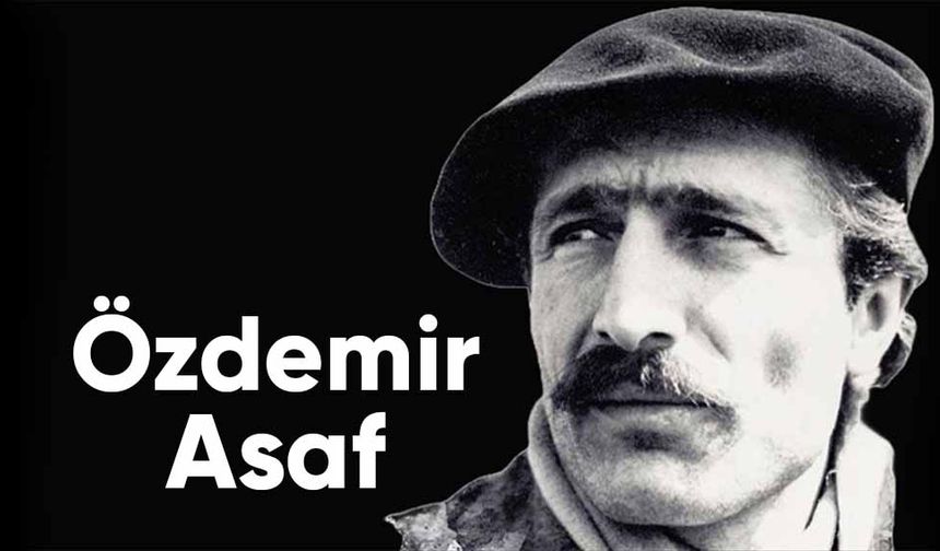 Hayata şiirin gözlüğüyle bakan şair: Özdemir Asaf