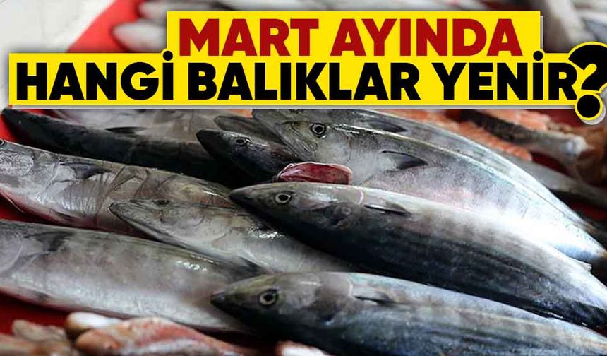 Mart Ayında Hangi Balıklar Yenir?