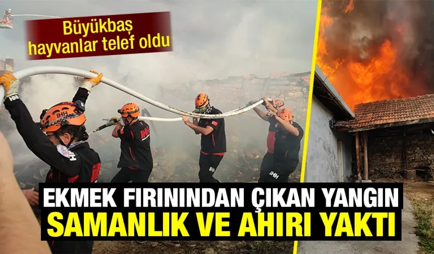 Kütahya'da ahır ve samanlık yangını