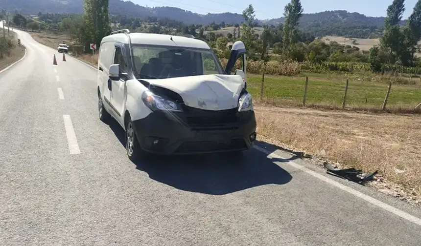 Domaniç'te koyuna çarpan kamyonetin sürücüsü yaralandı