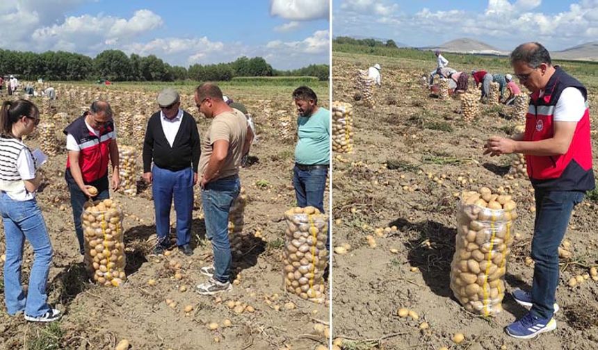 Kütahya Altıntaş’ta patates hasatları kontrol edildi