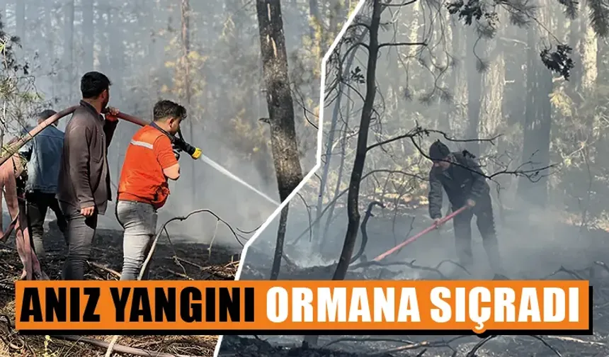 Kütahya’da anız yangını ormana sıçradı