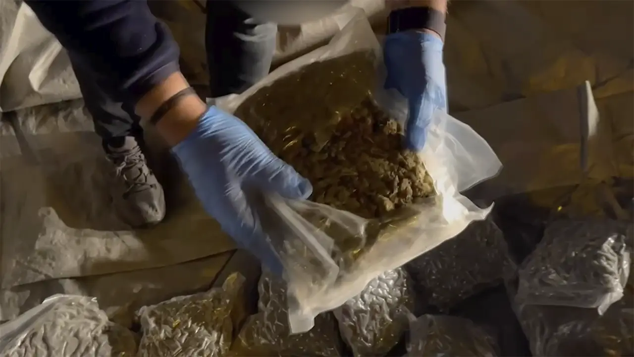 8 Kilo 250 Gram Skunk Ele Geçirildi1