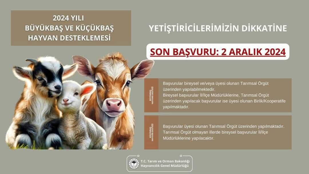 Hayvancılık Destek Başvuruları Için Son Gün Yaklaşıyor (1)