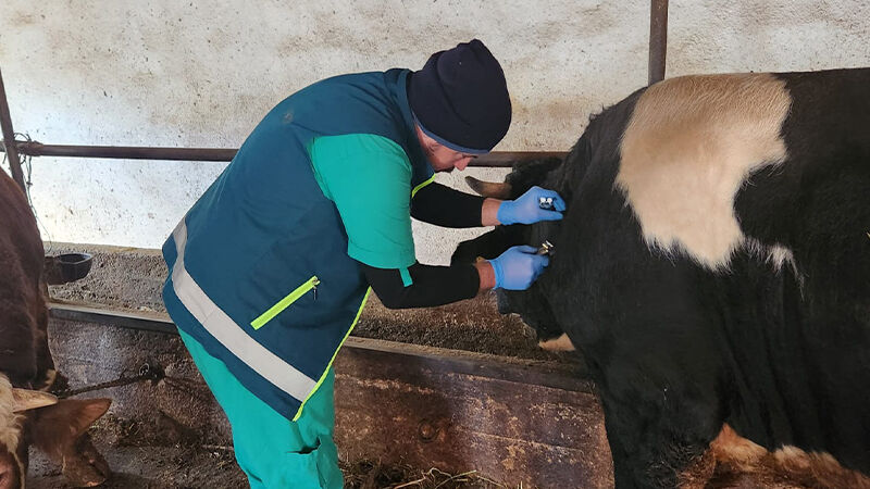 Kütahya Tavşanlı’da tüberküloz hastalığına karşı tarama yapıldı