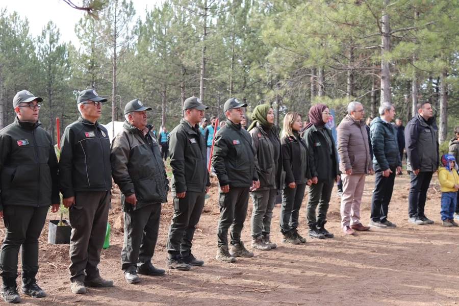 Kütahya Tavşanlı’da Yanan Orman Alanı 2 Bin Fidanla Yeşillendirildi (7)