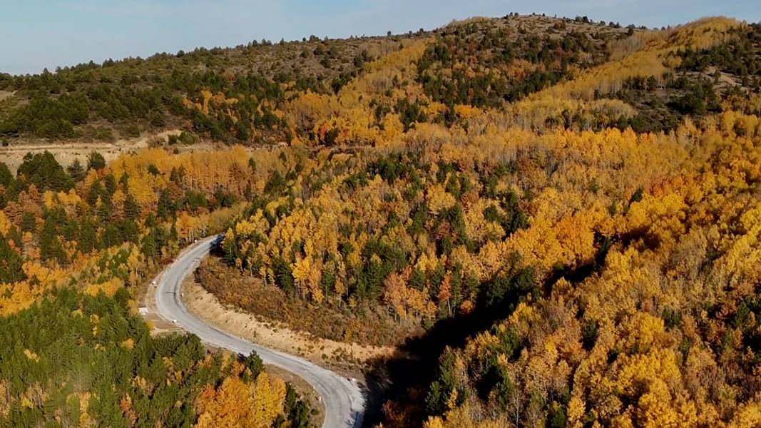 Kütahya'da Delice Kavakları Sonbahar Renklerine Büründü (4)