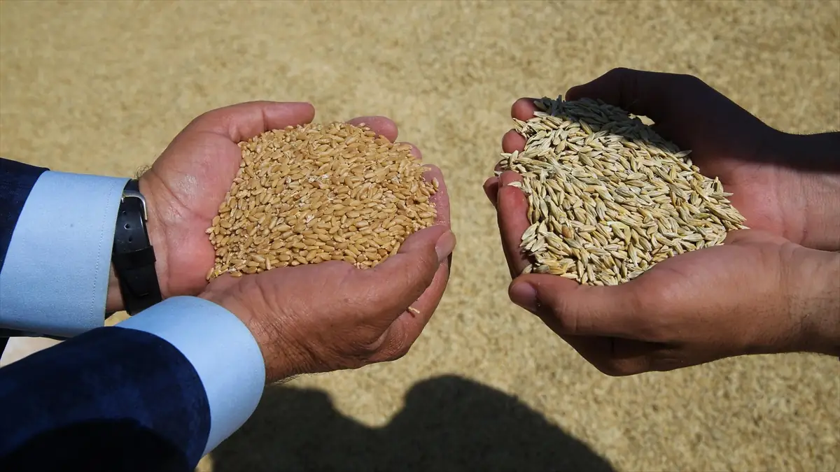 Tmo'da, 90 Gün Vadeli Satış Başlıyor