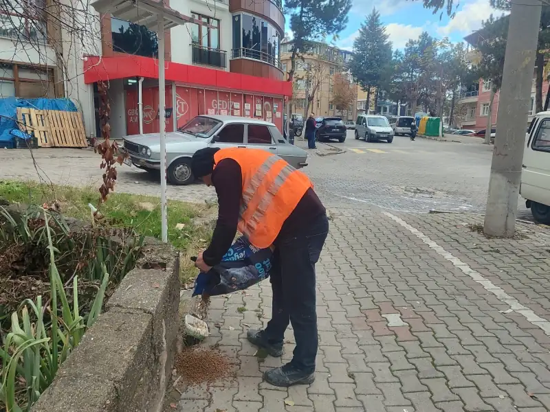 Kütahya Gediz’de Sokak Hayvanları Unutulmuyor 1