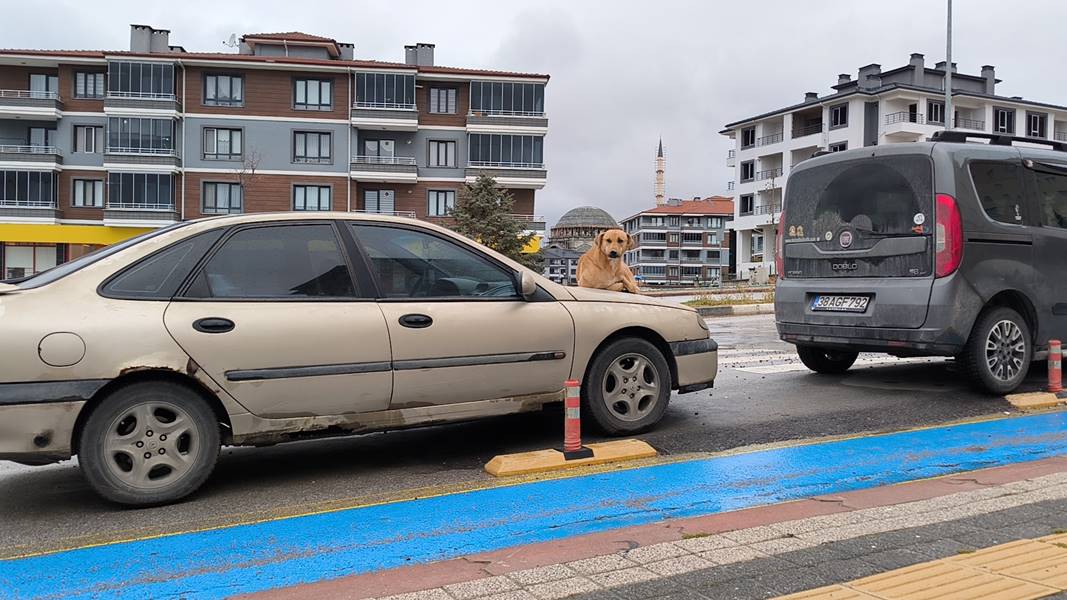 Kütahya’da O Otomobilin Kaputu Artık Onun (2)