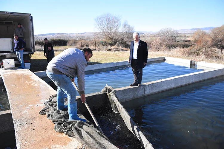Anadolu'daki Köy Kooperatifi, 10 Ülkeye Alabalık Ihracat Ediyor