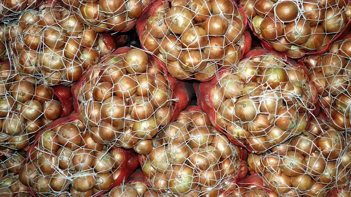 Patates Ve Soğan Ambalajlama Standartlarında Değişiklik