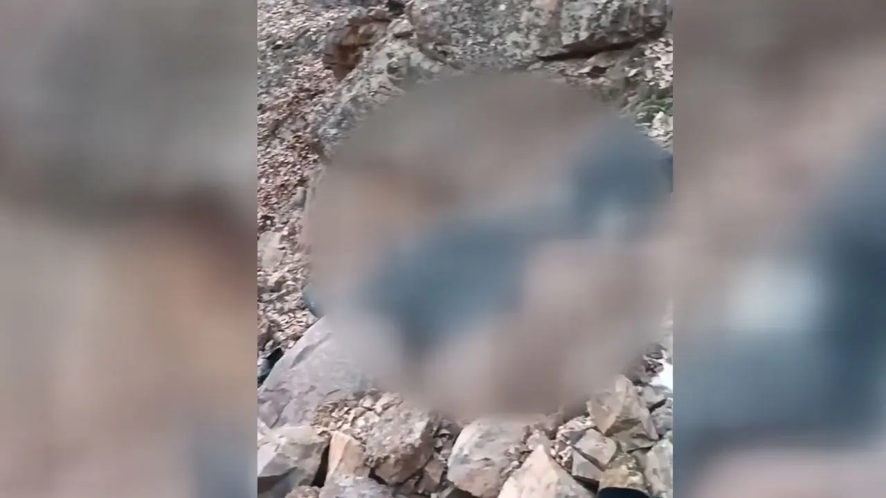 Dere Yatağına Devrilen Otomobilin Sürücüsü Öldü1