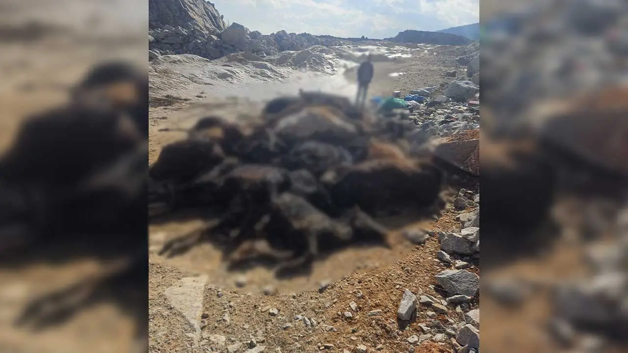 Kütahyada Dehşet Veren Olay3