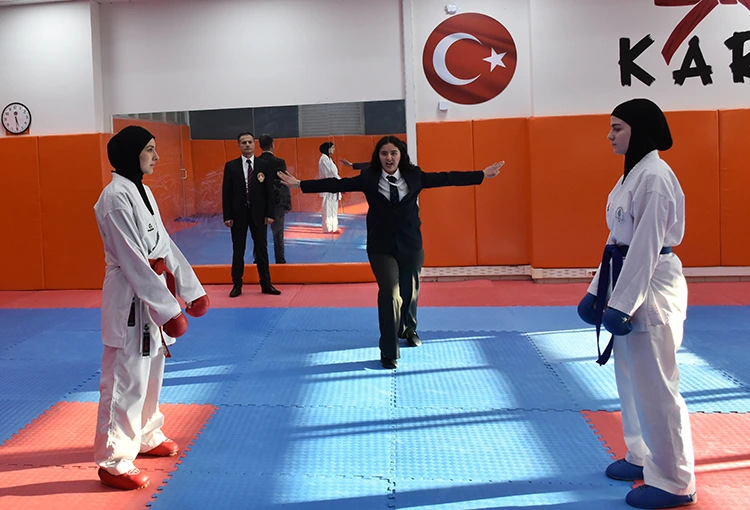 2025 12 20250312 2 68103634 110579816