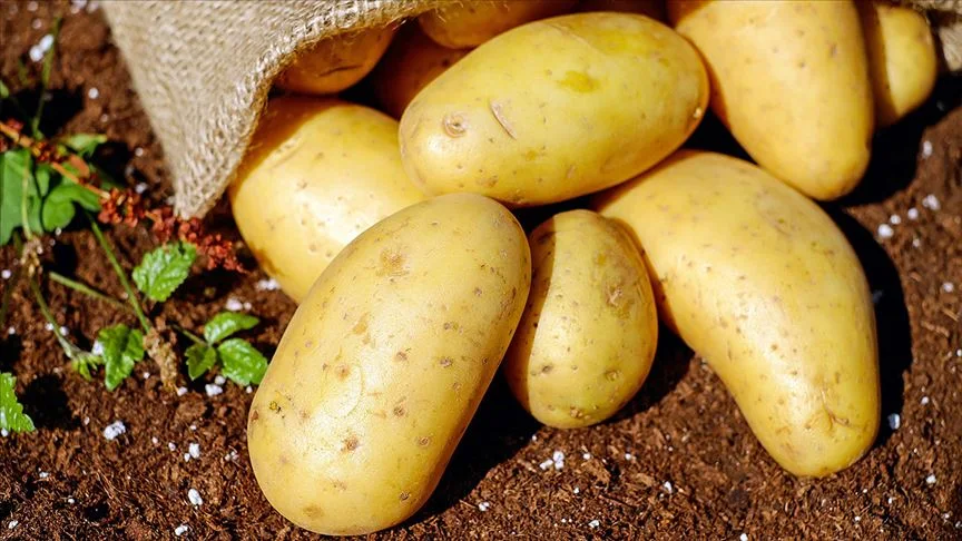 Meyve Ve Sebze Kabuklarını Atmak Yerine Değerlendirebilirsiniz (1)