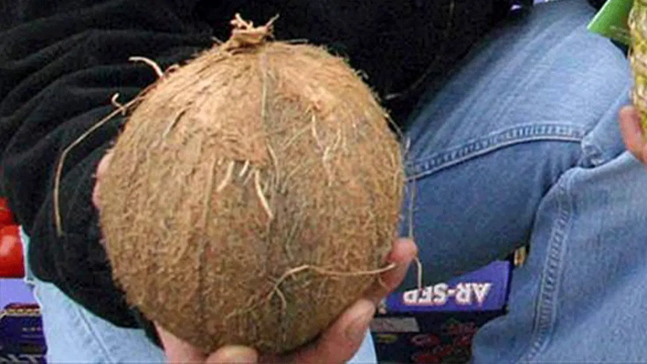 Meyve Ve Sebze Kabuklarını Atmak Yerine Değerlendirebilirsiniz (10)