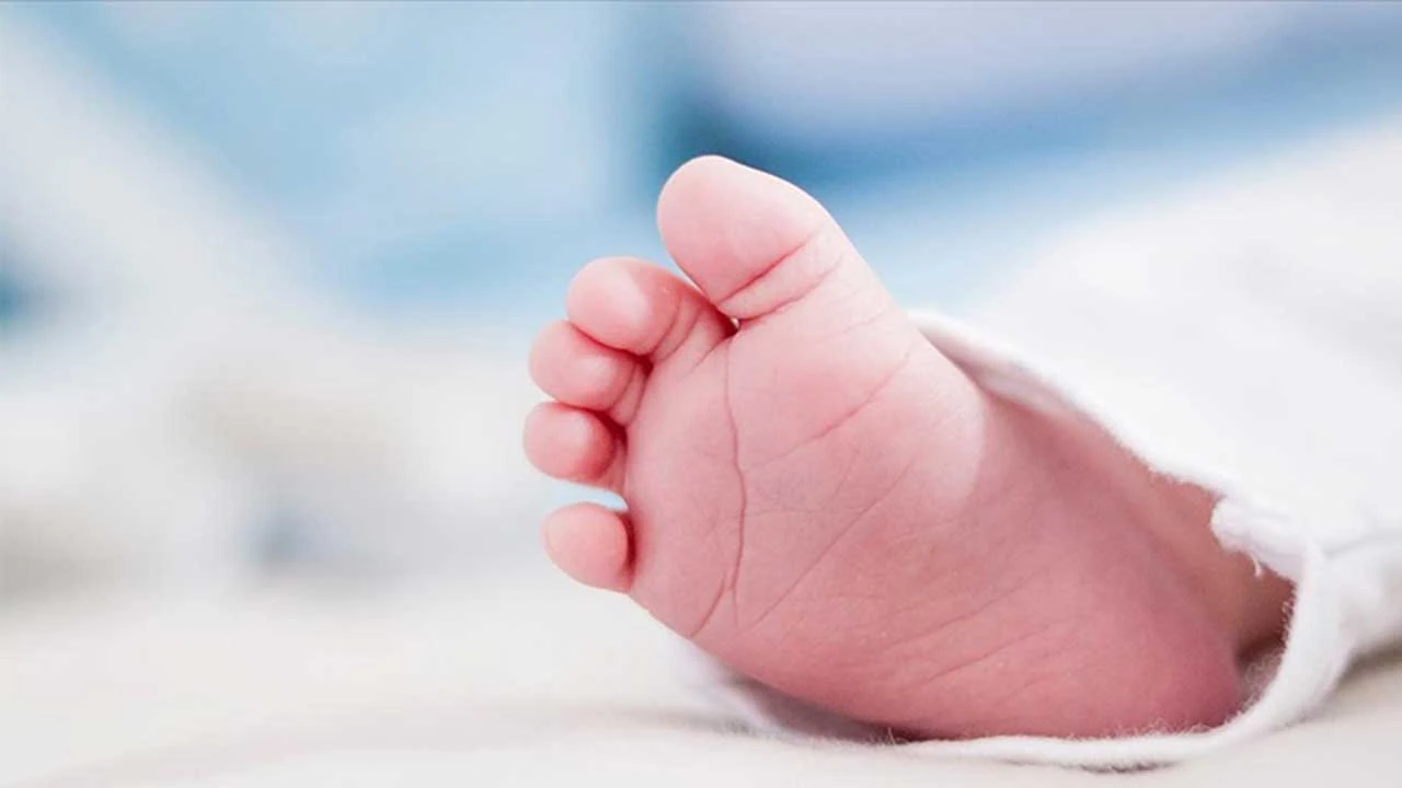 2025 Doğum Yardımı Başvuruları Başladı1