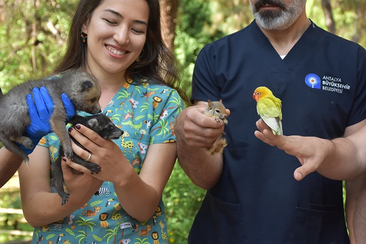Antalya’da Çocuklara Hayvan Sevgisi Yavru Hayvanlarla Aşılanacak (3)