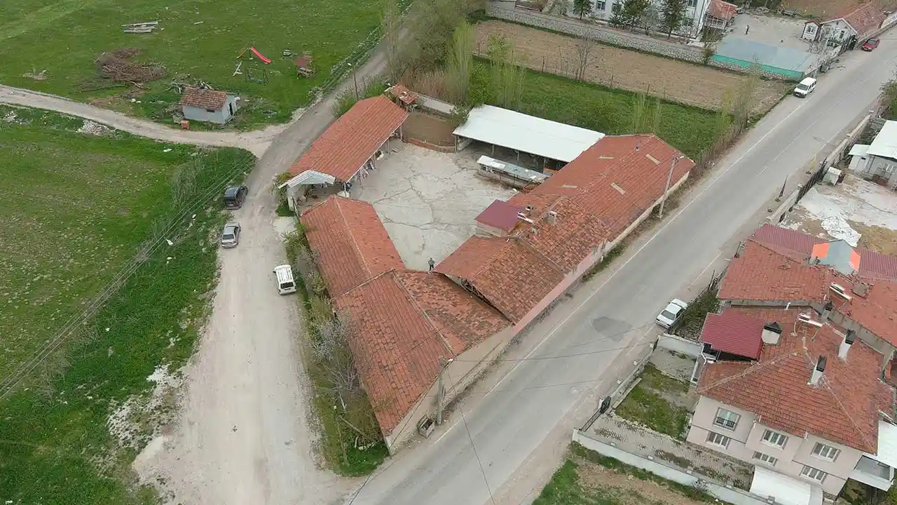 Kütahya’da 1500 Sahipsiz Köpek Daha Barınağa Alınacak4