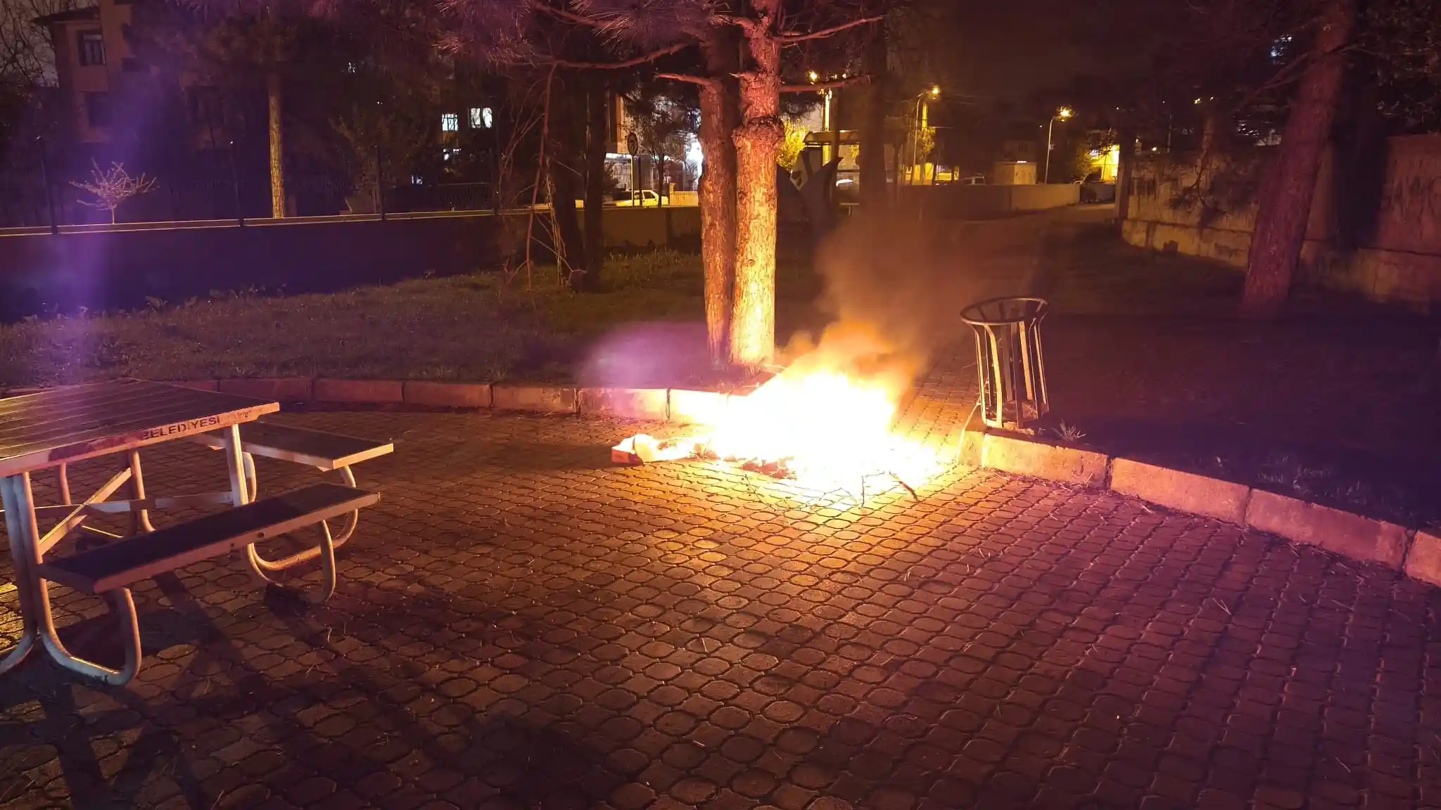 Kütahya’da Yaşı Küçük Çocuklar Yine Park Yaktı 3