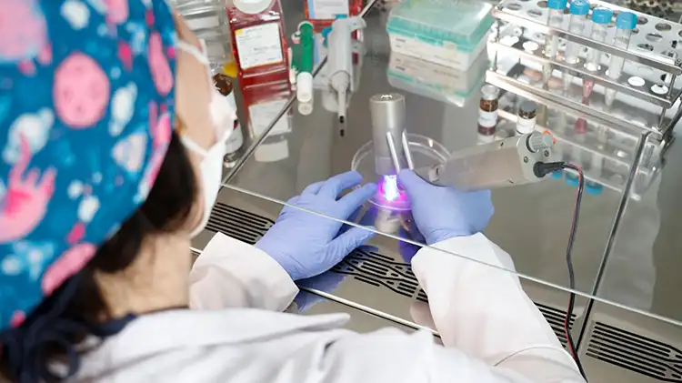 Rejeneratif Tıpta Devrim Hasarlı Dokulara Anında Müdahale Imkanı