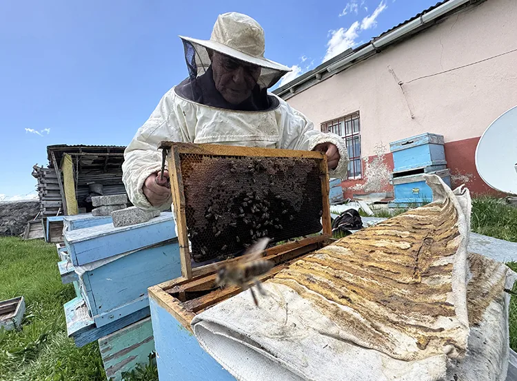 Arıcılıkla 101 Yaşına Ulaşan Bir Yaşam Öyküsü (2)