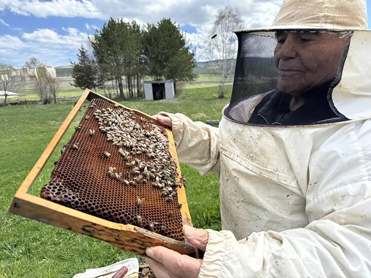 Arıcılıkla 101 Yaşına Ulaşan Bir Yaşam Öyküsü (3)