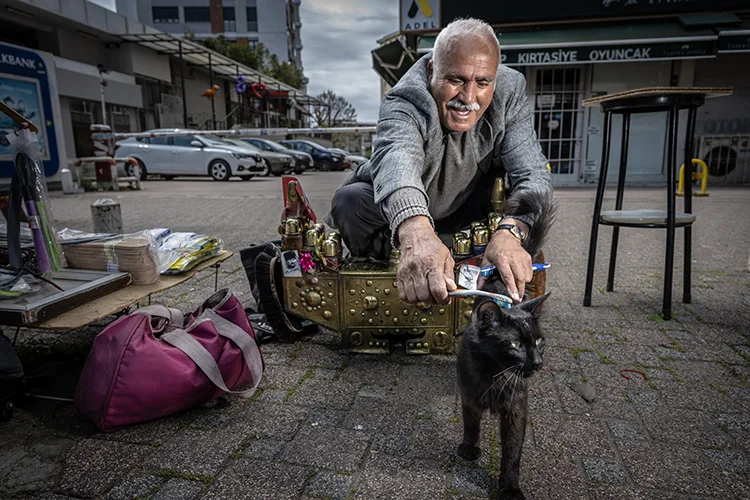 Ayakkabı Boyacısının Kuaför Kedisi Kardelen Günlerdir Kayıp (2)
