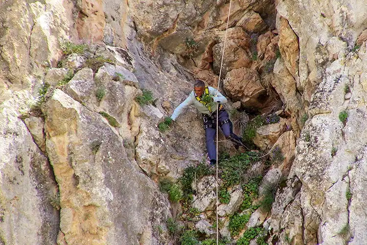 Dağlarda Kişniş Toplayanların Zorlu Çalışma Mücadelesi (1)