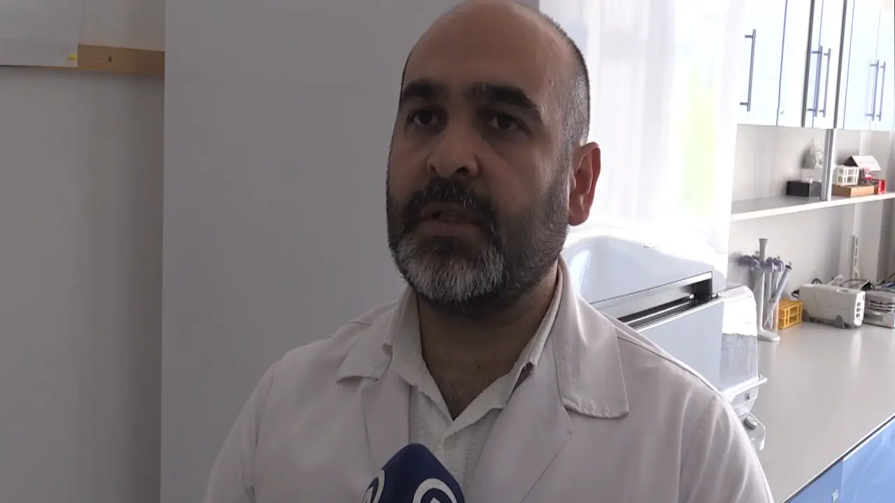 Iğne Başı Kadar Kene