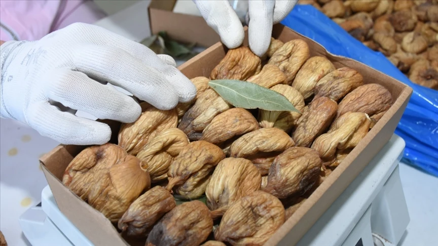 Kuru Incirin Sağlığa Faydaları Saymakla Bitmiyor (3)