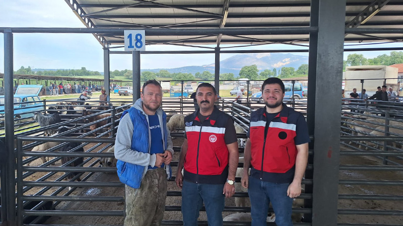 Kütahya Gediz'de Hayvan Pazarı Denetlendi (1)