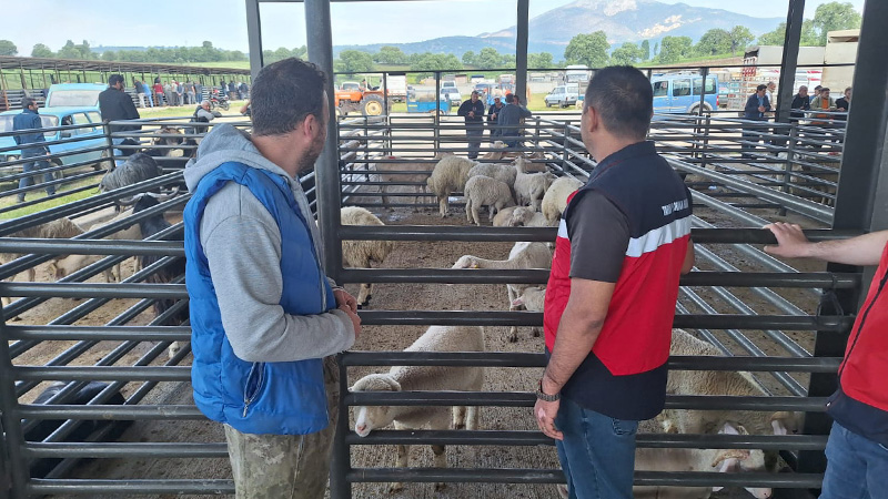 Kütahya Gediz'de Hayvan Pazarı Denetlendi (3)
