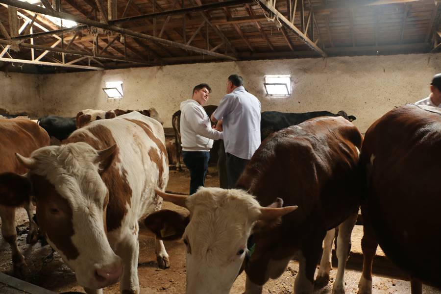 Kütahya’da Kurbanlık Alışverişi Hareketliliği Arttı (1)