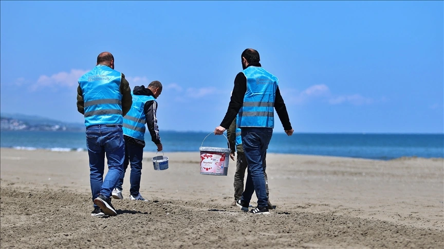 Mavi Bayraklı Plajlarda Yaza Hazırlık (1)