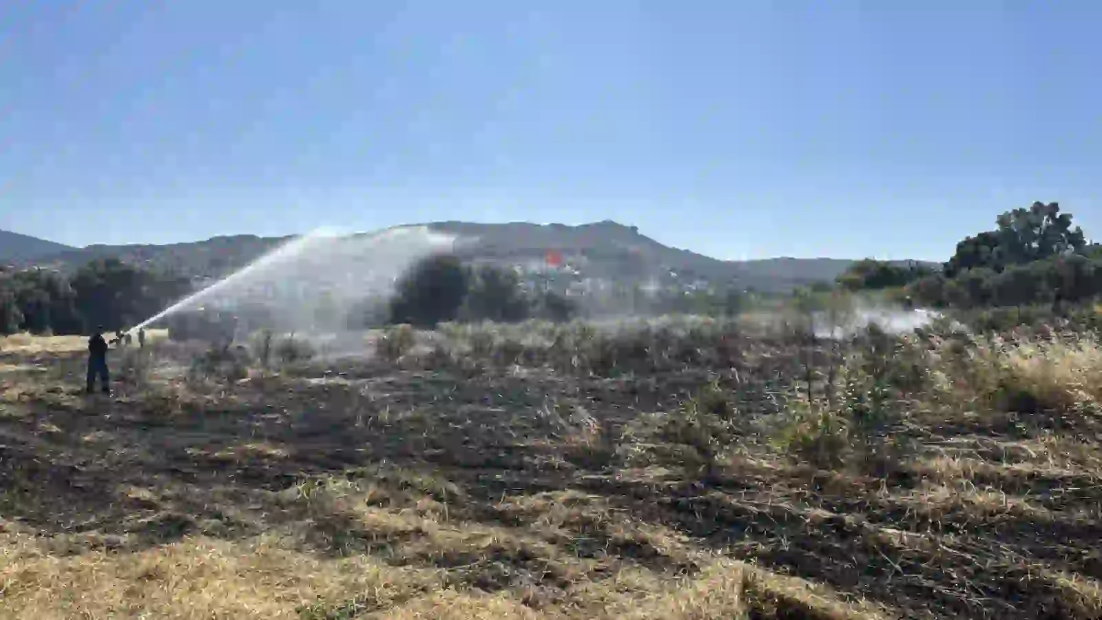 Muğla’da Çıkan Yangın Yarım Hektarlık Alanı Yaktı3