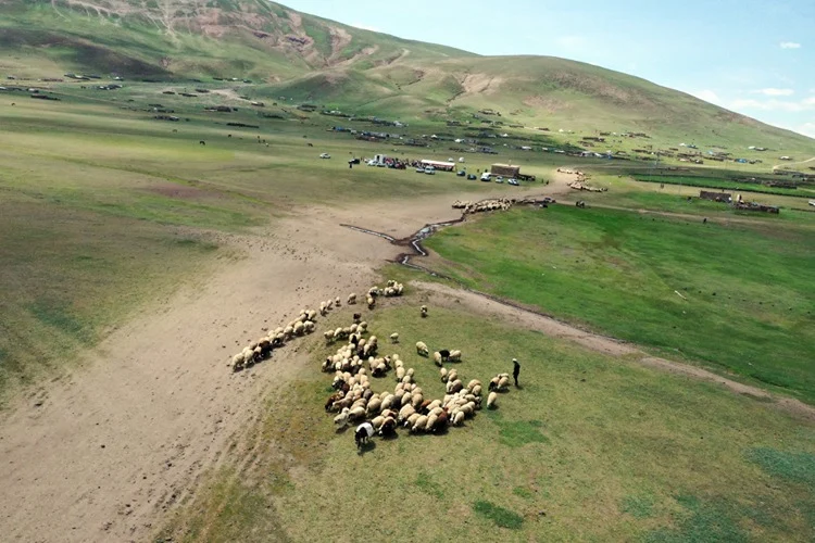 Tendürek Dağı Eteklerinde Göçerlerin Kış Hazırlığı