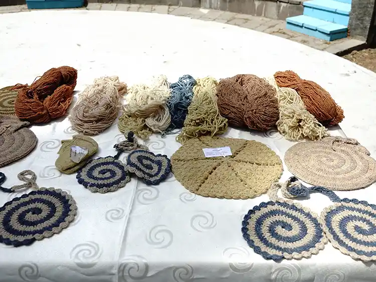 Üniversiteli Gençler, Bitkisel Boyalarla El Işi Ürünler Tasarladı1