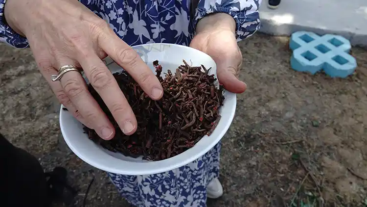 Üniversiteli Gençler, Bitkisel Boyalarla El Işi Ürünler Tasarladı2