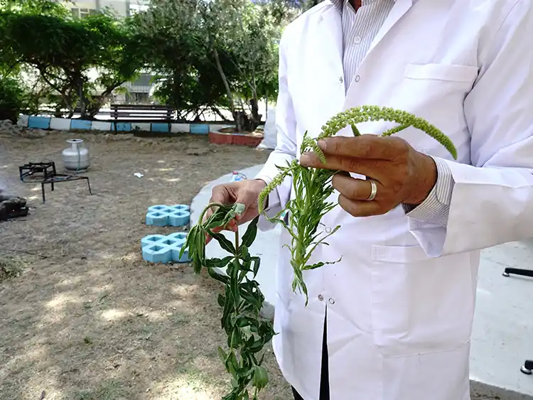 Üniversiteli Gençler, Bitkisel Boyalarla El Işi Ürünler Tasarladı3