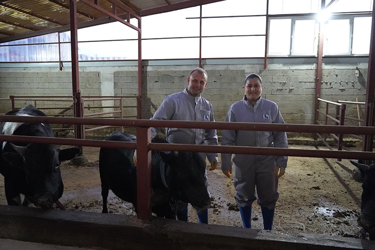 Voleybol Antrenörü Kadın, Hayvancılıkla Da Uğraşıyor (1)