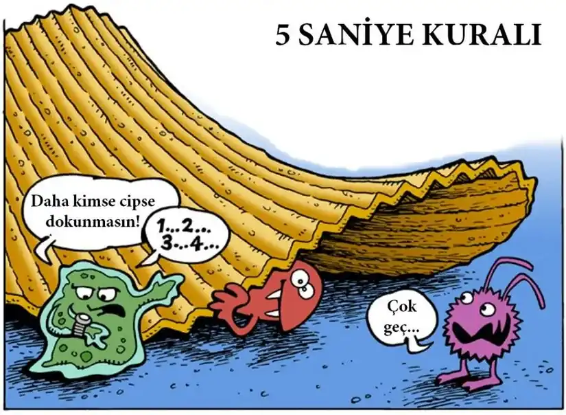 5 Saniye Kuralı Gerçek Mi Yere Düşen Yiyecek Hemen Bakteri Kapar