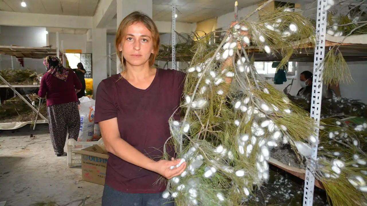 Anne Ile Kızı Devlet Desteğiyle Ipek Böceği Yetiştiricisi Oldu1