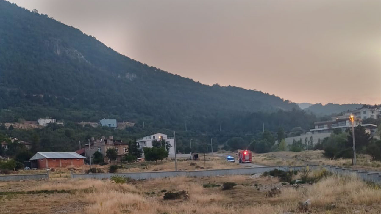 Bilecik'teki Orman Yangınının Dumanı Kütahya’ya Ulaştı3