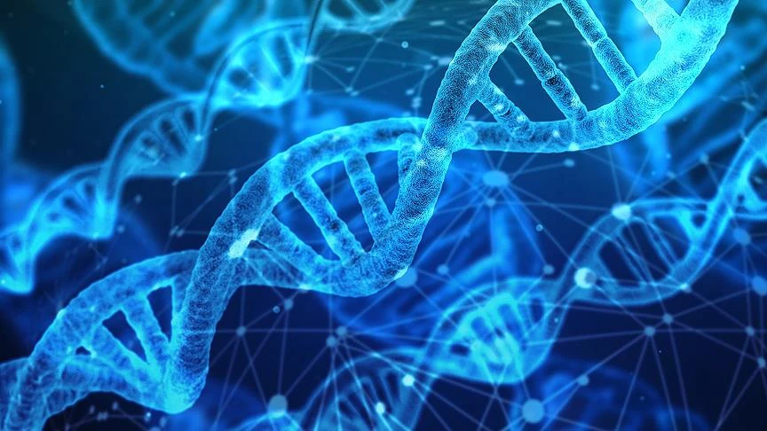 Dna’lar Sıfırdan Kodlanıyor Laboratuvarda Yapay Insan Üretimi Hedefleniyor