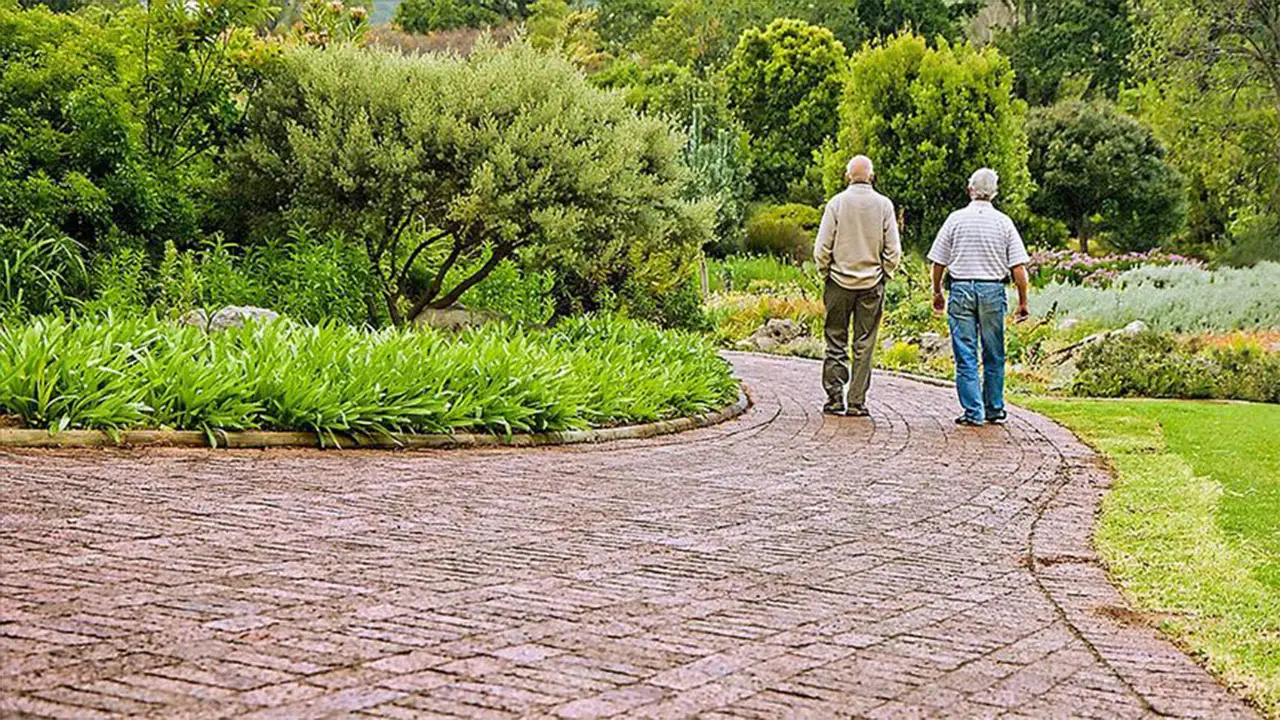 Günde Beş Dakikalık Tempolu Yürüyüş Beyin Sağlığını Koruyor1