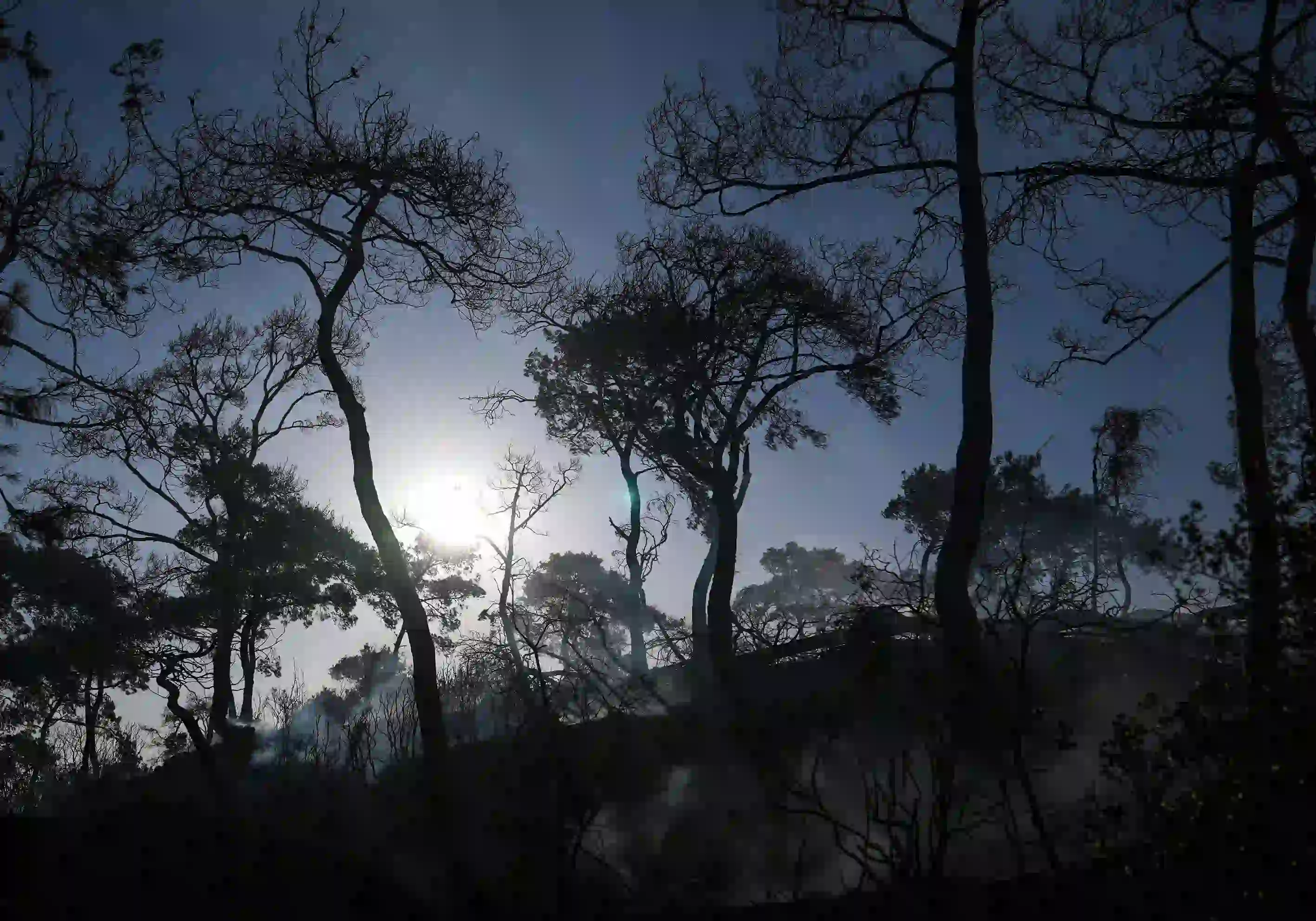 İzmir’de Çöplükte Çıkan Yangın Ormana Sıçradı (2)