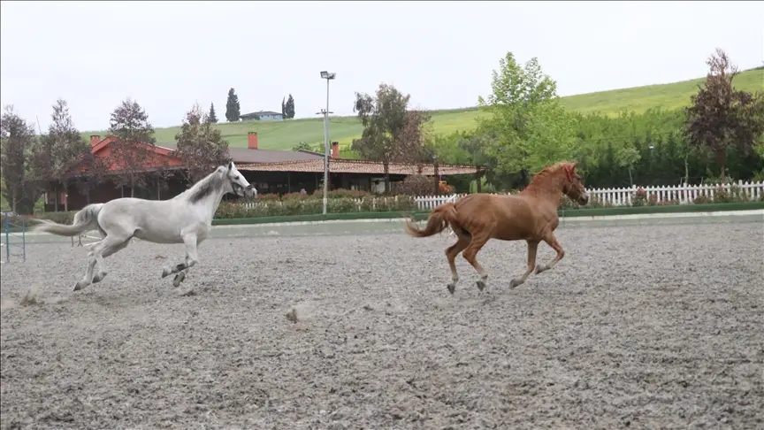 Kadın Girişimci, Atlı Spor Kulübüyle Biniciliği Yaygınlaştırıyor5