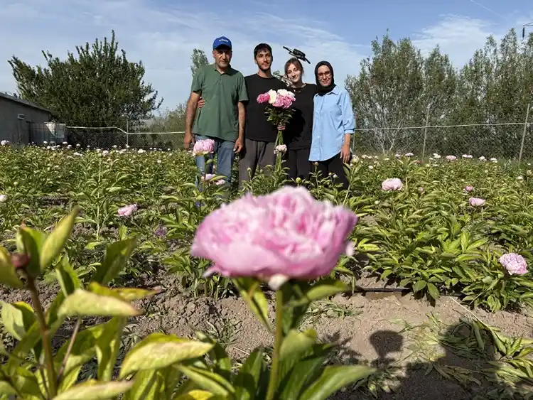 Kadın Girişimcinin Şakayık Serüveni Meyvesini Veriyor (2)